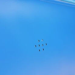 Sport-Thieme Hochsprungkissen "Indoor" -Seikva Geschaft 297 6408 8